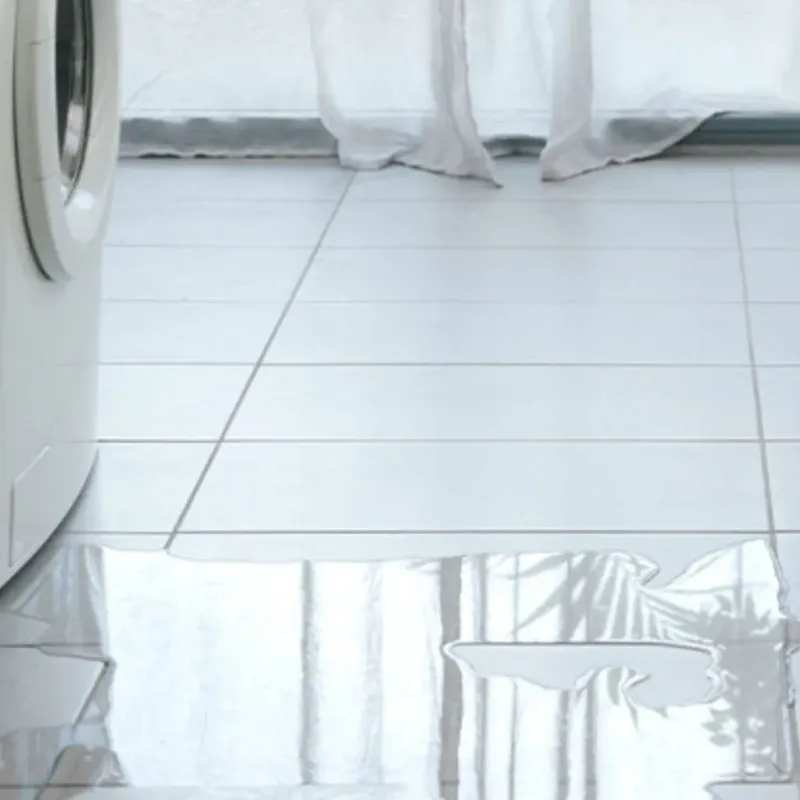 Appliance Leak Cleanup in Lumberton, NC