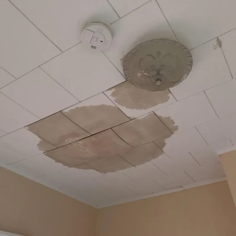 Ceiling Water Damage Repair in Lumberton, NC