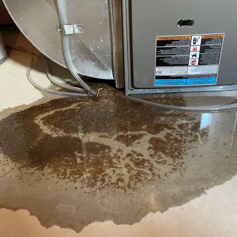 Pipe Burst and Leak Restoration in Lumberton, NC