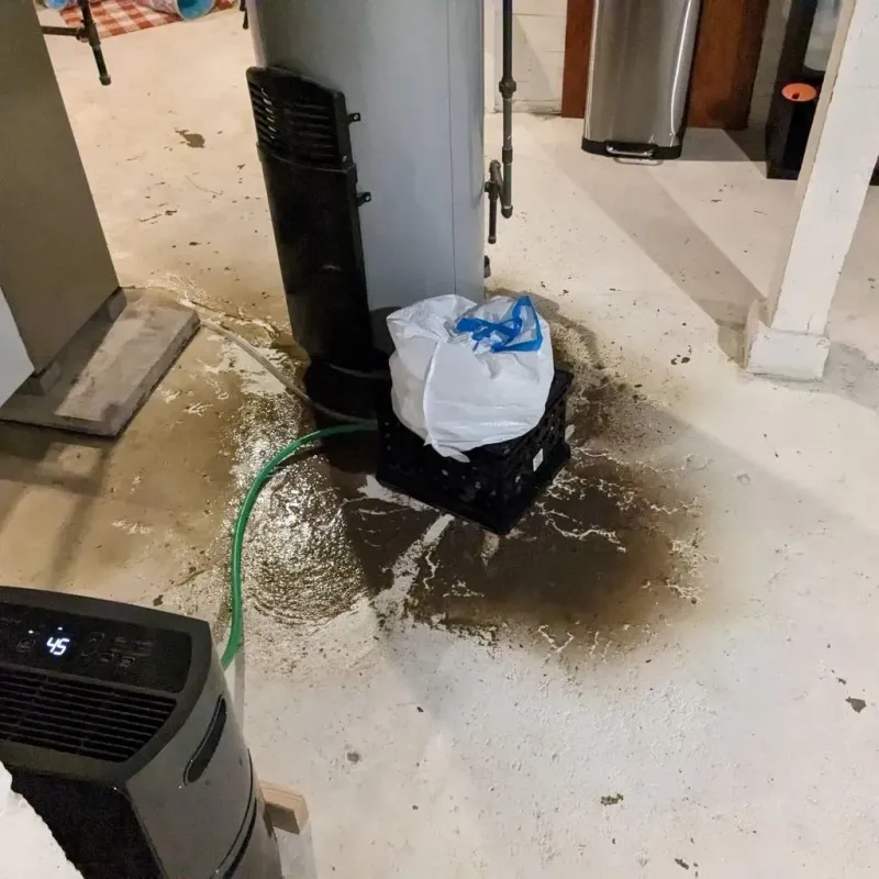 Sewage Backup Cleanup Service in Lumberton, NC